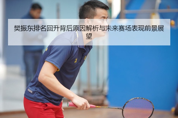 樊振东排名回升背后原因解析与未来赛场表现前景展望