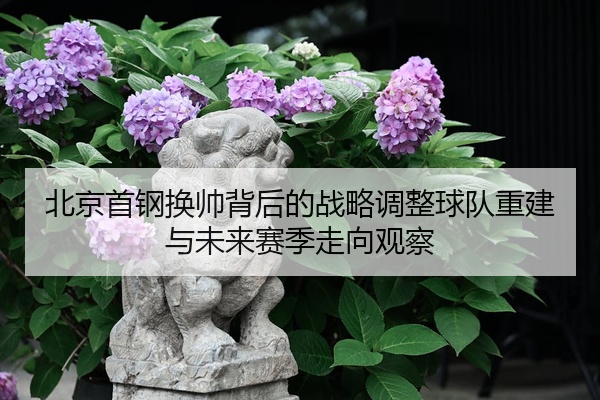 北京首钢换帅背后的战略调整球队重建与未来赛季走向观察