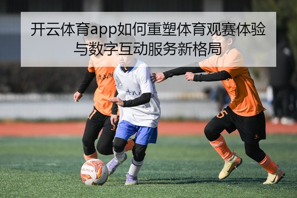 开云体育app如何重塑体育观赛体验与数字互动服务新格局