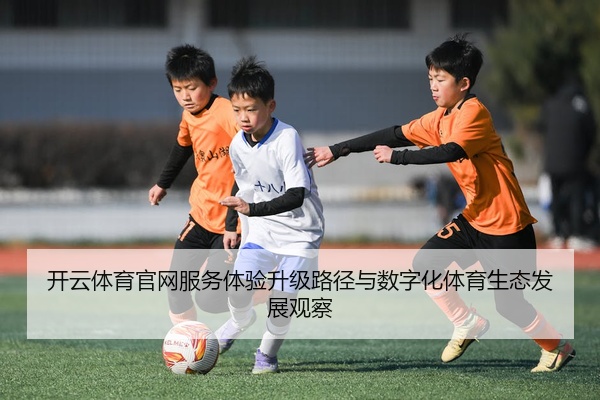 开云体育官网服务体验升级路径与数字化体育生态发展观察